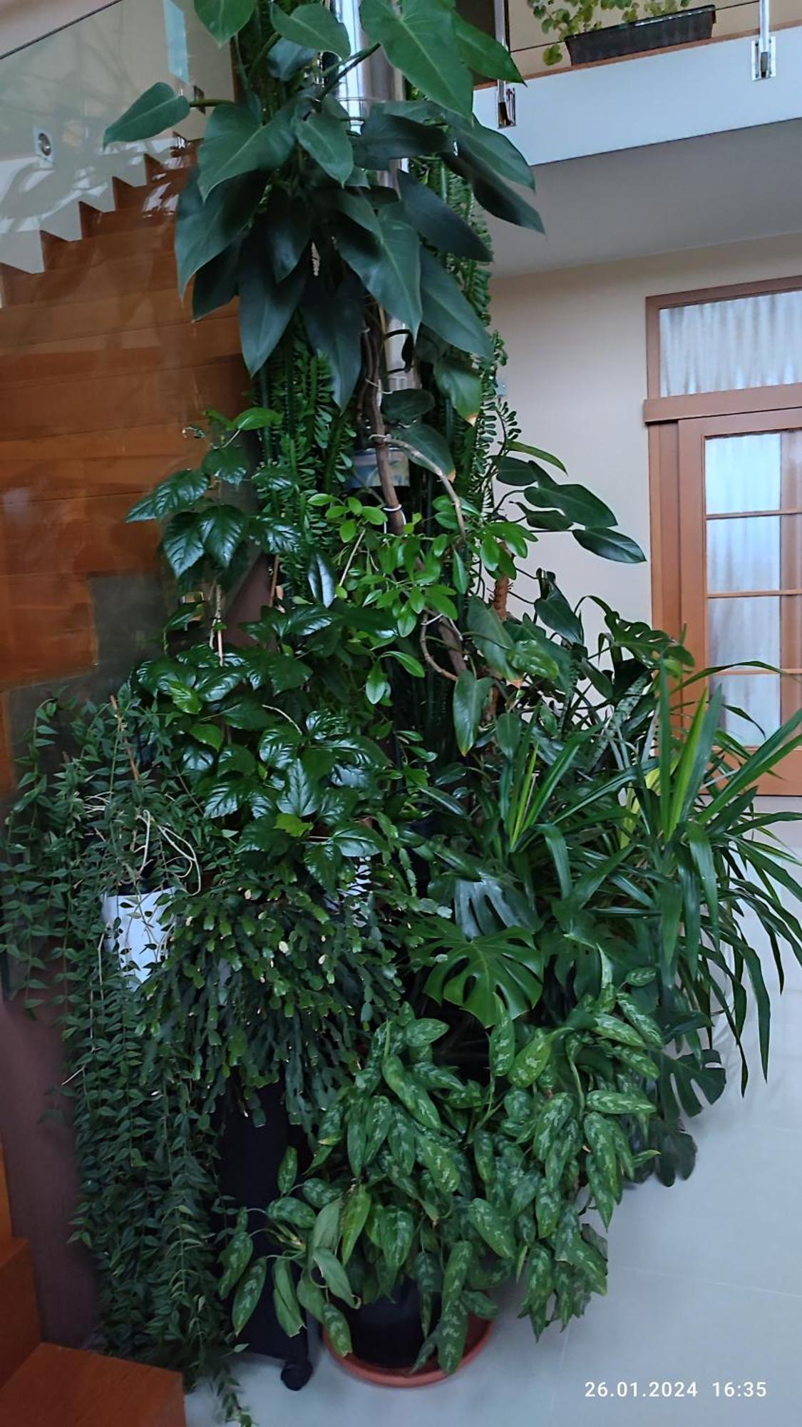 Villa Homestay Nad Helmrovkou Prague Exterior photo